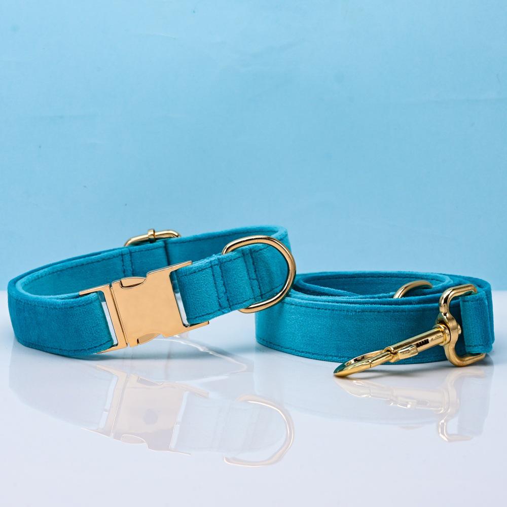 Ensemble collier et laisse pour chien en velours gravé avec boucle métallique réglable