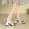 9-9 Medium heel thick heel Mary Jane shoes women's silver square buckle single shoes women's autumn new square head high heels