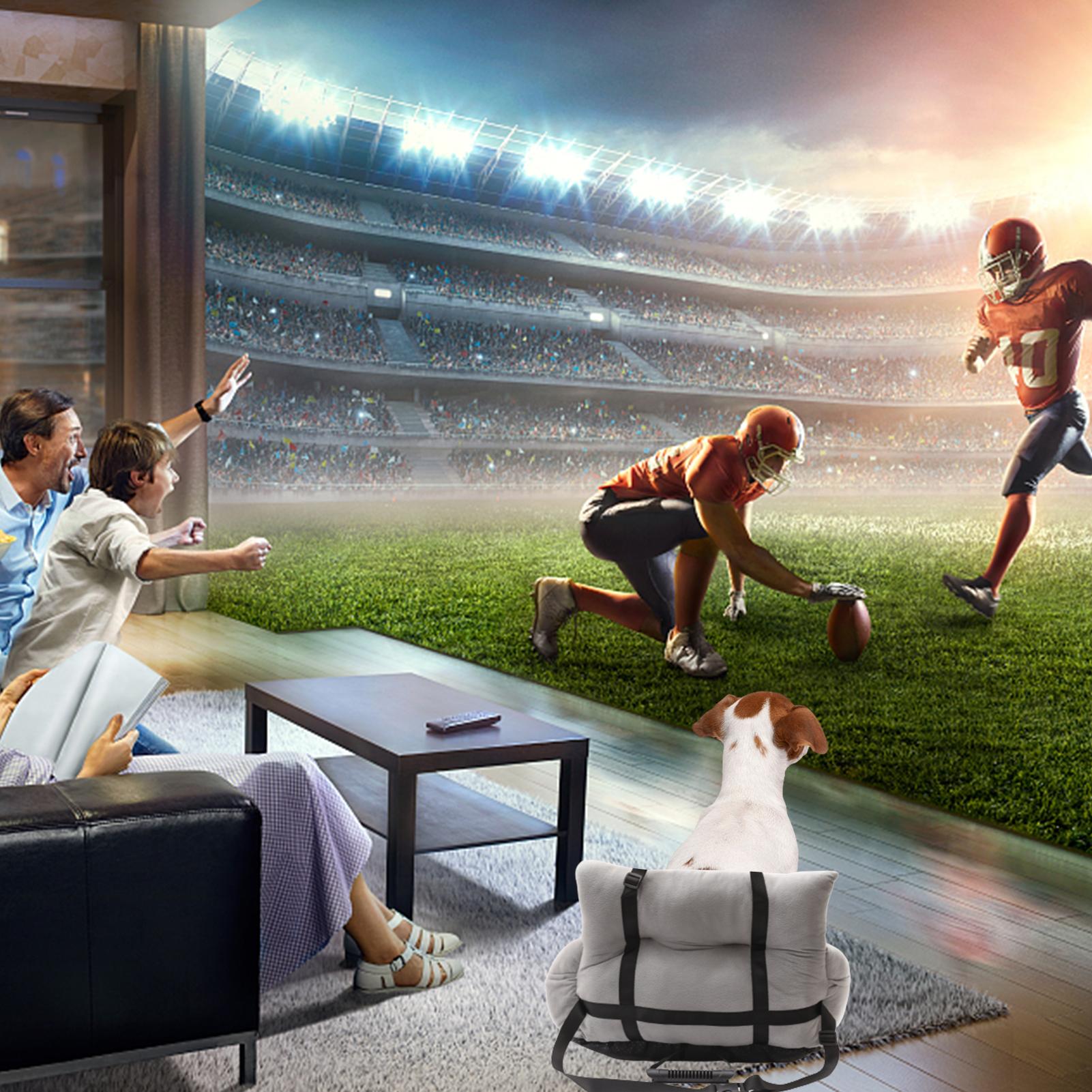 

Автокресло-лежанка для собаки, многофункциональный дизайн, диван для питомца для автомобиля, дома и на все сезоны, прочный ремень безопасности, удобный Suede nap темно-серого