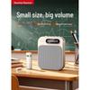 Newmine U-261 Portable Bluetooth Voice Amplifier CN plug (adapter included) (CN version)