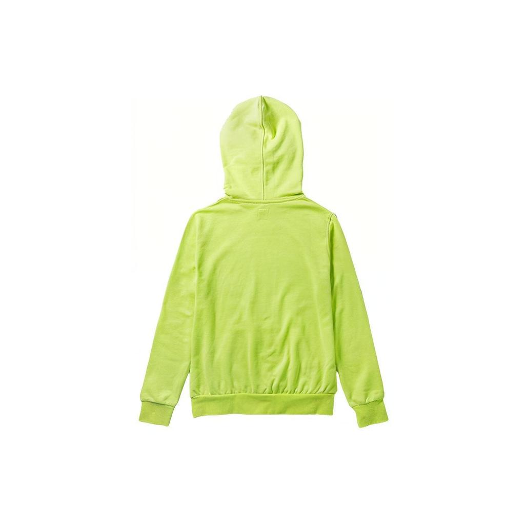 Vans Flame Logo Pullover Hoodie Women Hoodies Green VN0A3TYVTCY