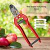 Nest-Shaped Pruning Shears: Thick Branch & Fruit Picking Scissors