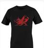 WELSH DRAGON T-SHIRT - National Emblem of Wales T-Shirt All Sizes Black White