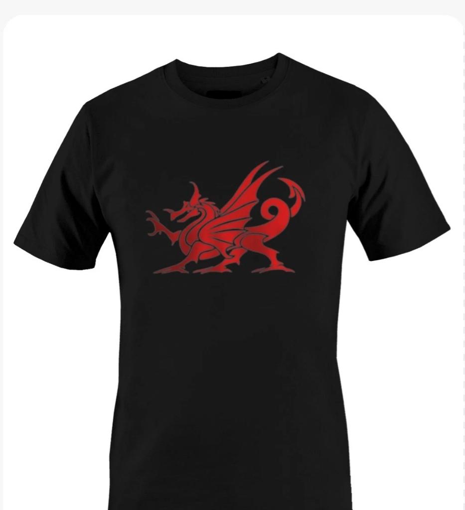 WELSH DRAGON T-SHIRT - National Emblem of Wales T-Shirt All Sizes Black White