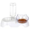 Cat Food Bowl Pet Automatic Feeder Water Dispenser Dog Cat Food Container Drinking Dish Anti Slip Double Bowl