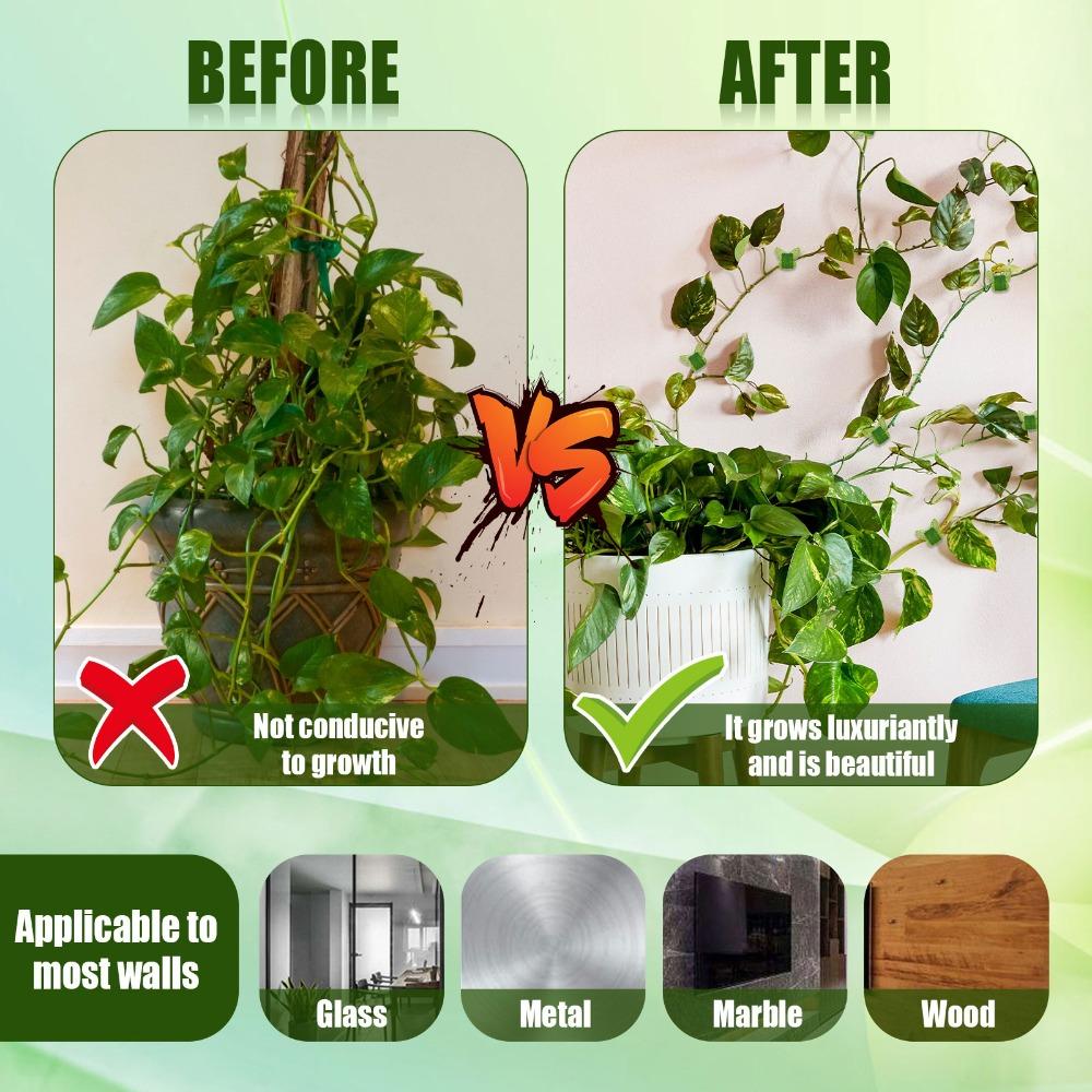 Clips Hook Vegetables Tied Plants Bracket Wall Vines  Fixture Plant Climbing Clip Plant  Support