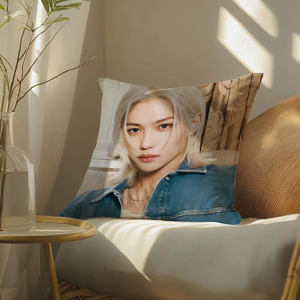 S-Strayskidssf-Felixs Pillow Case Pillowcase, Double-Sided Printed, Sofa Cushion, Bedroom Headboard