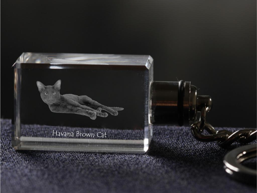Havana Brown - Crystal pendant with cat photo, illuminated pendant, unique gift by Art-Dog brand