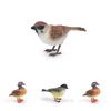 Animal Model Desktop Decor With Plastic Material For Educational Display And Bird Enthusiasts