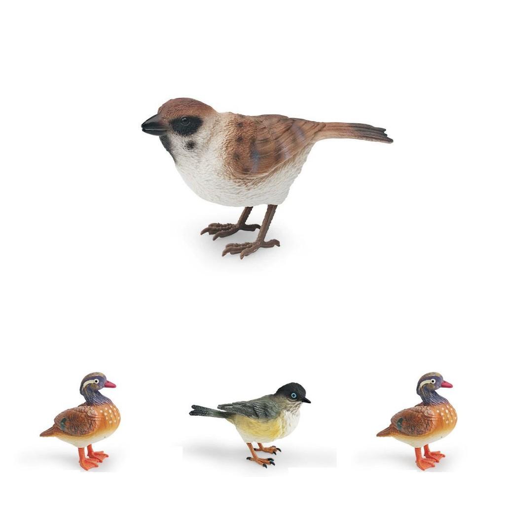 Animal Model Desktop Decor With Plastic Material For Educational Display And Bird Enthusiasts