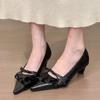 Women's Spring and Autumn Commuting High Heels Temperament Pointed Toe Pleated One Lace-up Block Heel Single Shoes