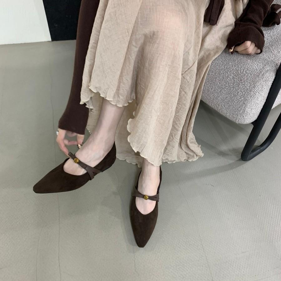 2025 autumn new thick heel pointed head light mouth leopard print single shoes women's one-word buckle suede Mary Jane evening shoes