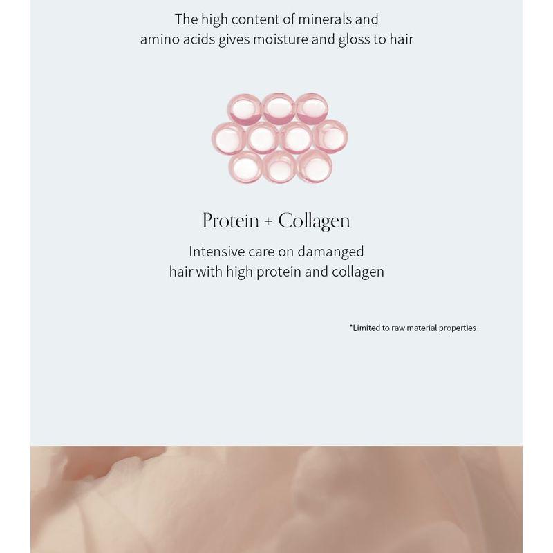 GROWUS Damage Therapy Hair Cream Treatment EX