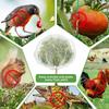 3Pcs Plant Insect Cover Insect Bag Drawstring Zipper Fly Cover Flower and Fruit Insect Netting Bird Netting
