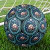 Underwater Treasures Round Football Size 5 Adult Ball Suitable for Training Matches and Outdoor Team.