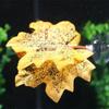 1 Stück Aquarium Dekoration Künstliche Pflanzen Grünes Blatt Hängematte für Kampffische Stressreduzierende Aquariendekoration mit Saugnapf