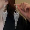 European and American Silver Needle Zircon Fringed Earrings Light Luxury High-end Atmospheric Earrings Niche Earrings Women