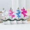 Aphrodite Simulation Phalaenopsis Flower Bonsai Home Living Decoration Room