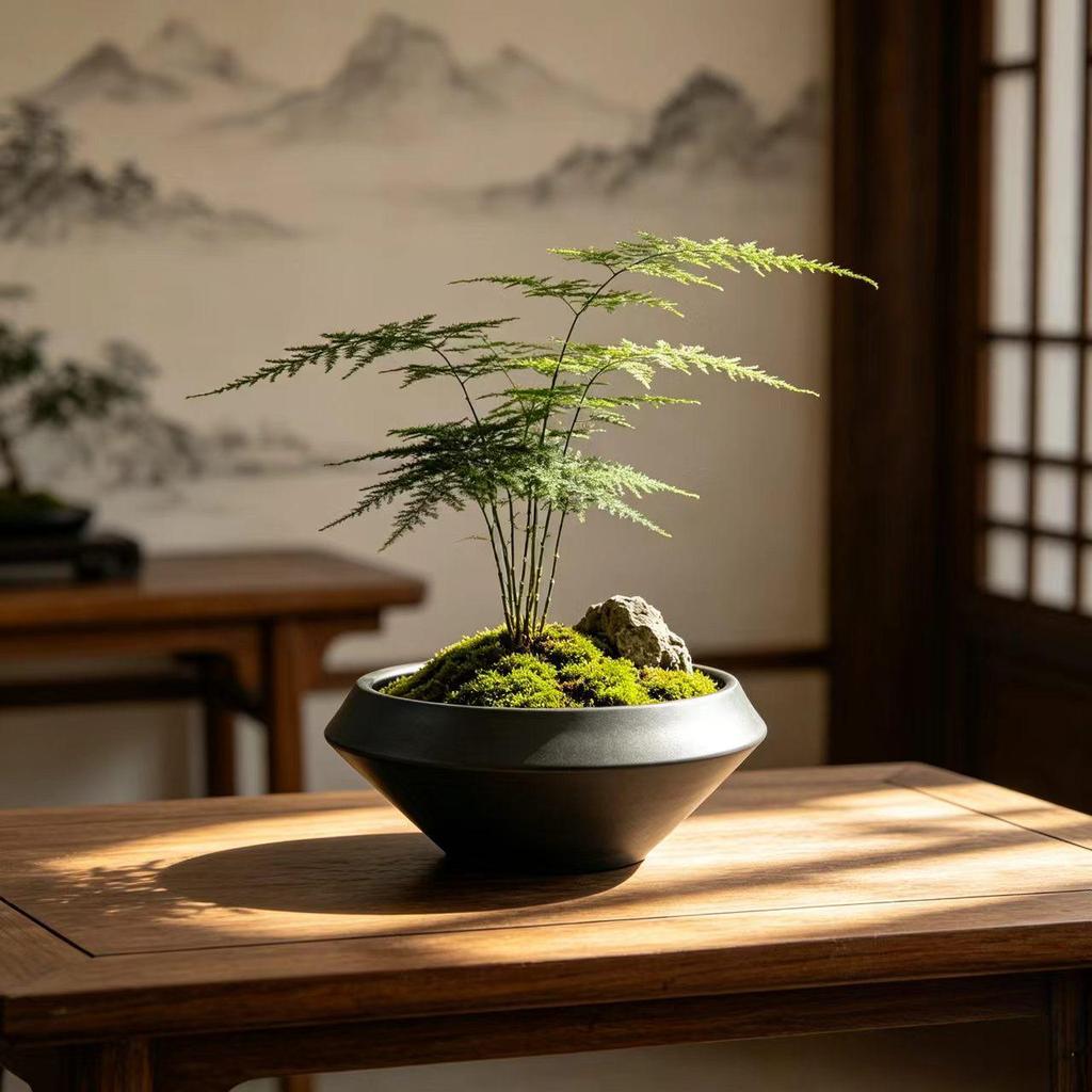 Jingdezhen Ceramic Zen-Style Flower Pot for Desktop Plants: Orchid, Asparagus, Moss, Succulents and More