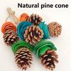 Bird Tearing Toy Birdcage Pinecone Standing Toy Small Bird Grinding Chewing Toy All Size Bird Cage Entertainment Toy