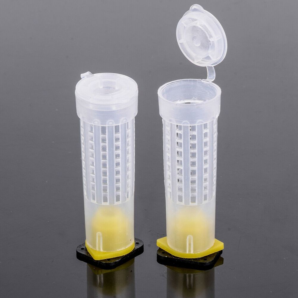 Beekeeping 50Pcs Box Holder Equipment Tool Rearing Cup Protective Cover Bees Rearing Bee Queen Cage