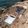 coffee animal Towel Beach Quick Dry Soft Pool Towels Gift for Travel Gym Shower Camping sports