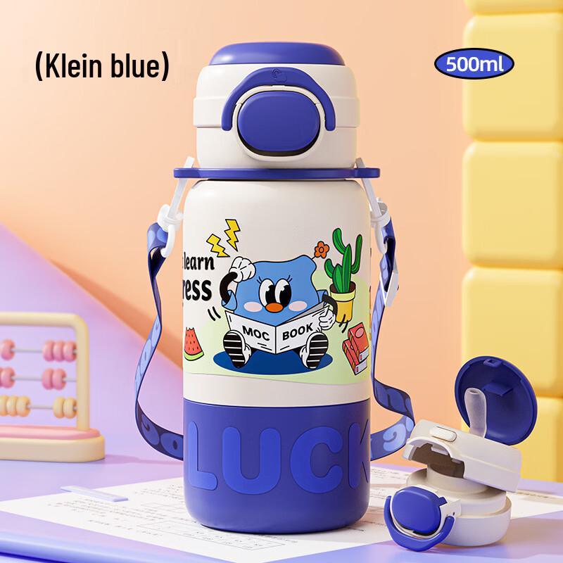 

OLOEY Kids 316 Stainless Steel Straw Water Bottle with Strap, 500ml
