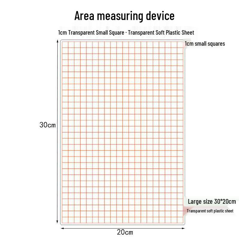 Transparent 1cm Grid Paper - 100 Squares for Math Teaching