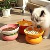 High Foot Anti Vomiting Cat Bowl Fruit Series Tilted Cat Dish Ceramic Raised Cat Bowl  For Dog Cat