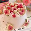Forest Style Cake Decorations: Dried Fruit & Fig Ornaments for Birthdays