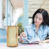Wood Grain Hollow-Out Aroma Diffuser & Humidifier - Indoor Air Purifier