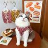 Warme Gemütliche Katzenkleidung Blumige Kätzchenbekleidung Neue Hundewelpenkleidung Herbst Winter
