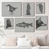 Minimalist Animal Pencil Sketch Poster Crucian Kingfisher Little Owl Prints Canvas Painting Wall Pictures Home Living Room Decor