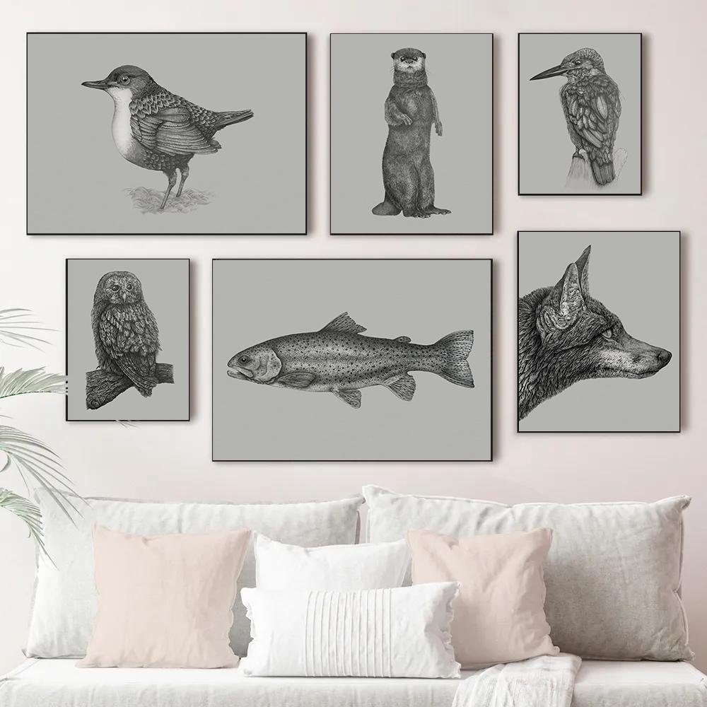 Minimalistisches Tier-Bleistiftskizze-Poster Karauschen-Eisvogel Kleine Eule Drucke Leinwandbild Wandbilder Heim Wohnzimmer Dekoration