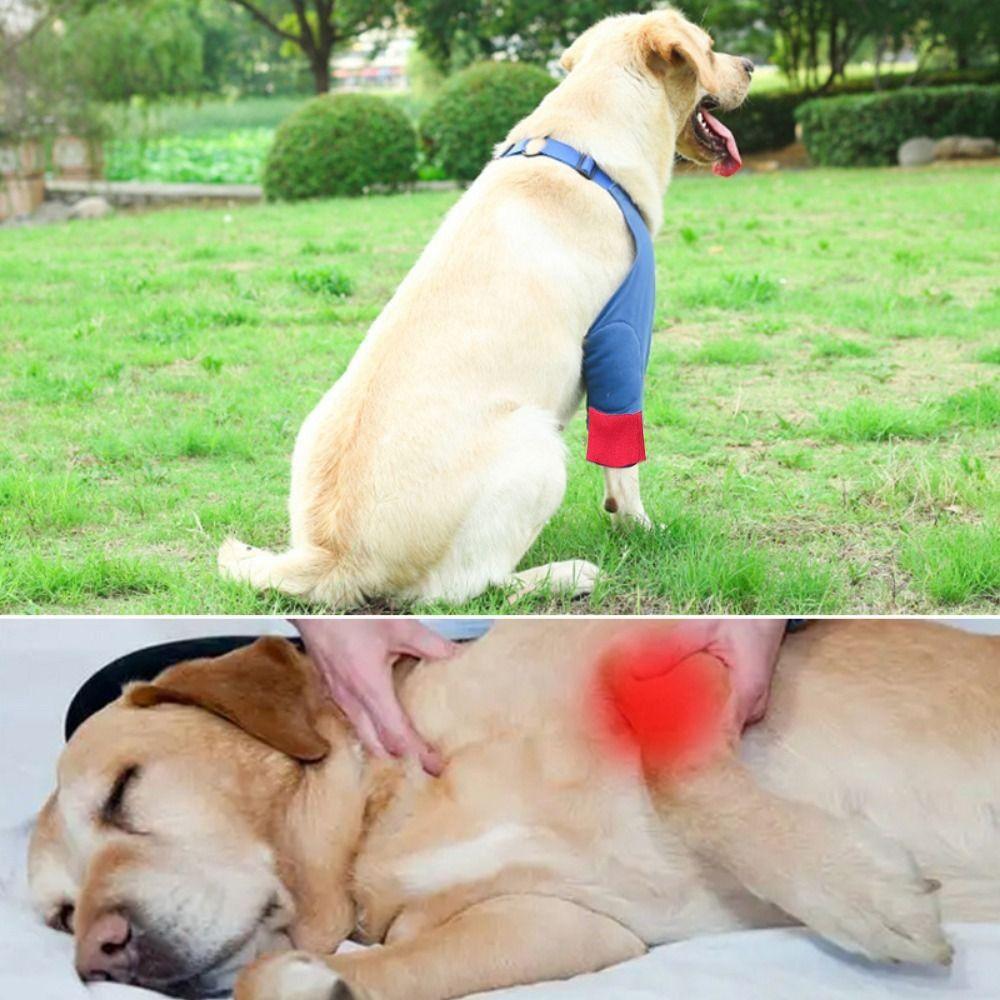 Practical Breathable Dog Recovery Sleeve Cotton Adjustable Puppy Elbow Wrap Soft Anti-lick Dog Elbow Protector For Dog Front Leg