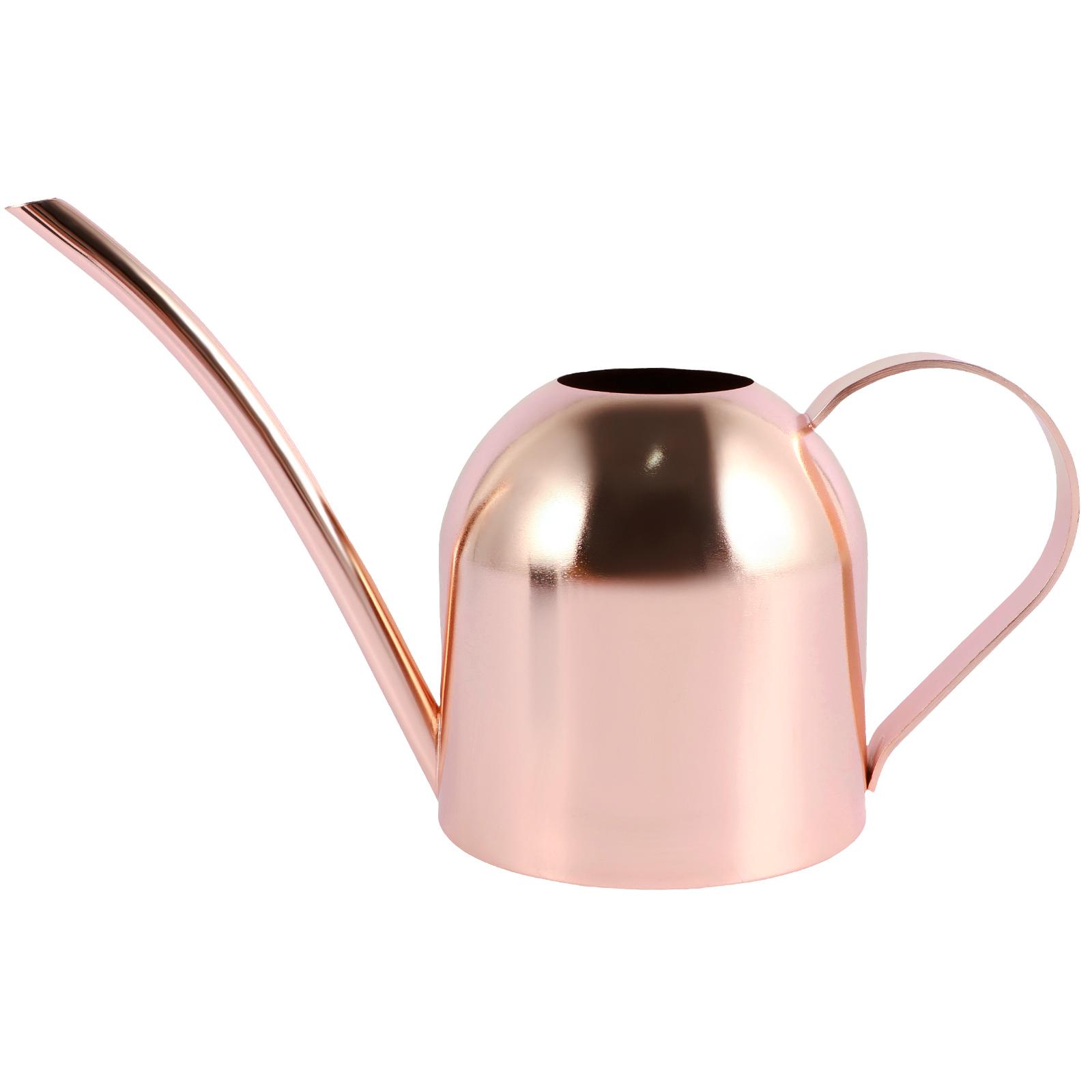 

Лейка из нержавеющей стали 0,5/1 л Лейка для растений с длинным носиком Винтажная лейка для растений на открытом воздухе