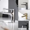 TLXT Bathroom Basin Faucet