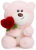 Valentine's Day Teddy Bear with Heart Rose 28cm Pink Plush Toy Stuffed Animal Birthday Gift for Girlfriend Kids