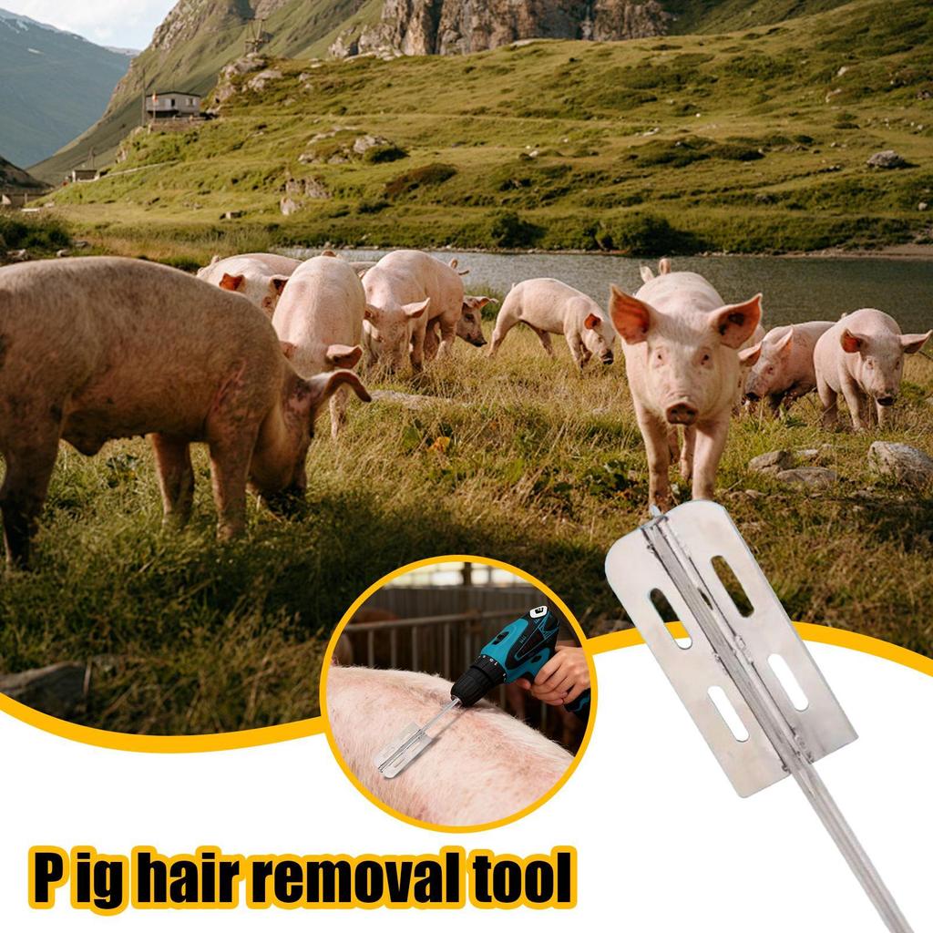 Rasoio Setole di Maiale Manuale Efficiente Portatile Rifinitore per Maiali Macello Strumento per Depilazione Bestiame per Pecore Bovini Officina