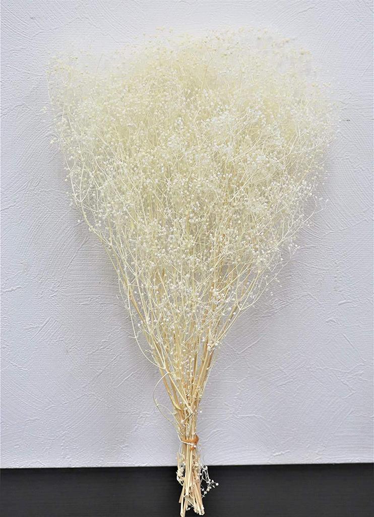Takeda Large Length 350mm Baby's Breath, White, Bundle, Approx. [40-0312]
