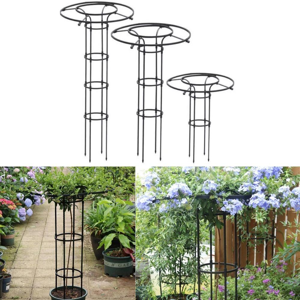 90/120/150cm Climbing Rose Arch DIY Assemble Climbing Plant Support  Vertical Garden Patio Balcony