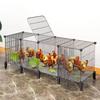 Animale de fermă
– Cuşti şi accesorii pentru animale