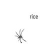 Haunted House Halloween Spider Web and Silk Decorations with Spiders