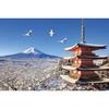 Yanoman Made Japan1000 pieces jigsaw puzzle Japanese scenery winter landscape cranes Mount Fuji (Yamanashi) (50x75cm) 10-1481 piece request postcard