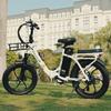 Cheevalry C20 PRO 250W Electric Folding Bike, 48V Battery, 180km Range