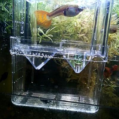Double-layer Transparent Fish Breeding Tank Versatile Aquarium Isolation Box