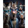 Lustige Zebras mit Brillen Leinwandposter Wandkunst Bilder Gestreifte Tiere Bilderdrucke Wandgemälde für Wohnzimmer Heimdeko