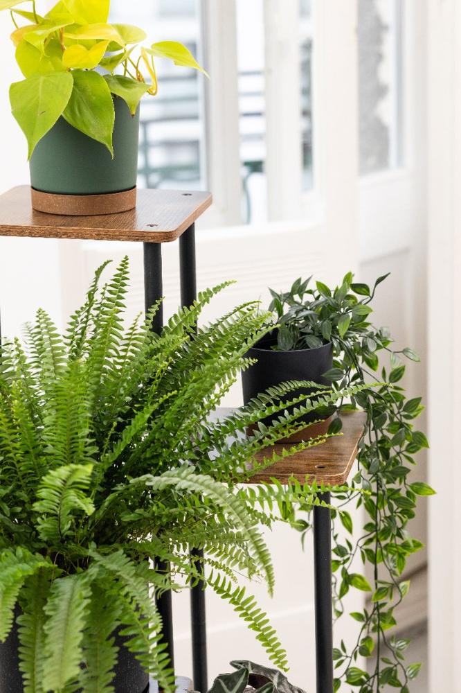 PALACE metal standing flower stand - black stand for 5 flowerpots