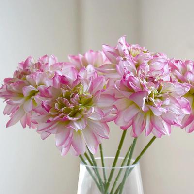 Elegant Artificial Dahlia: Minimalist Home & Bar Decor with Burnt Edges