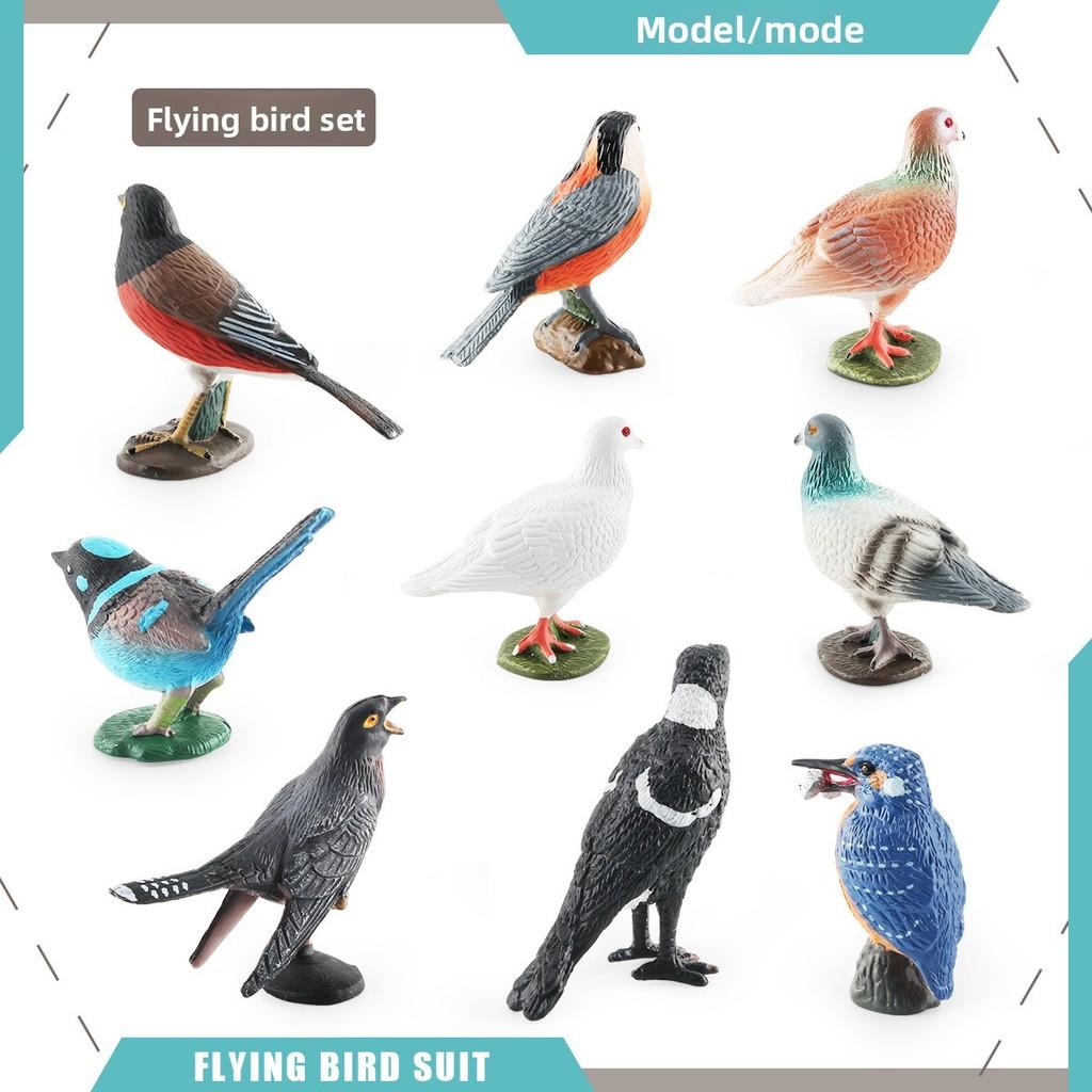 Pvc Bird Magpie Pigeon Model Set With Realistic Design For Nature Decor And Collectors
